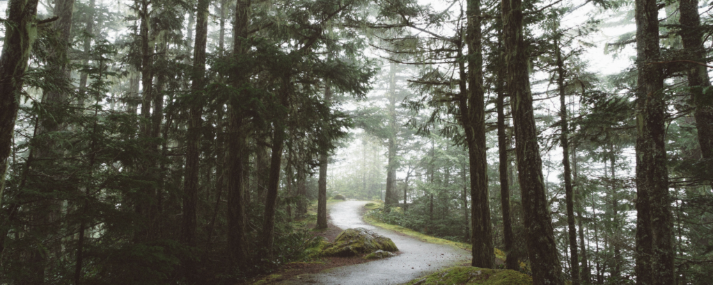 Attachment and emotional safety in relationships